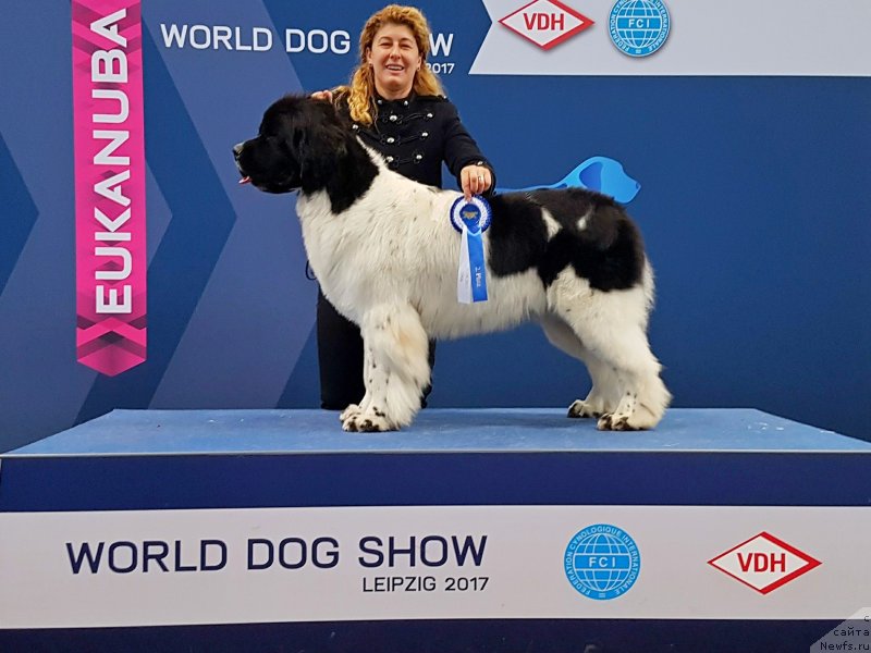 Фотография № 231656