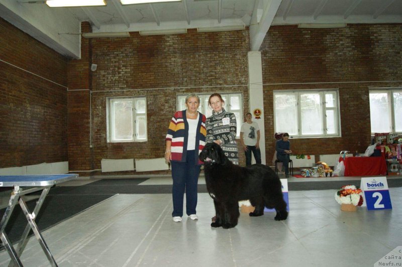 Фото: Моон Броок Еастерн Ехпресс (Moon Brook Eastern Express)