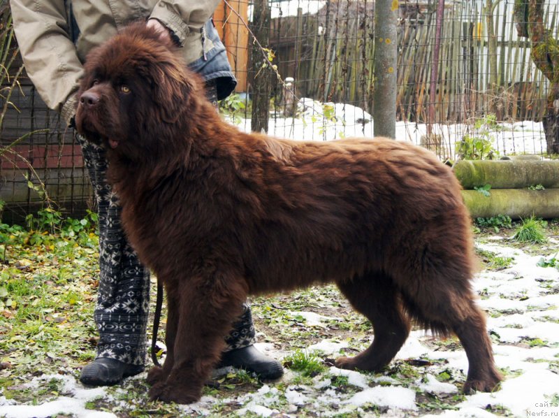 Фотография № 231704