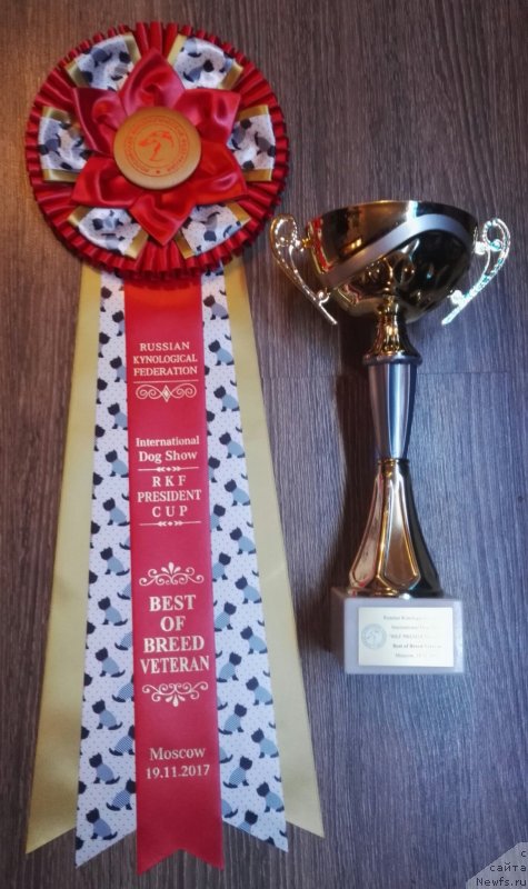 Фотография № 231718