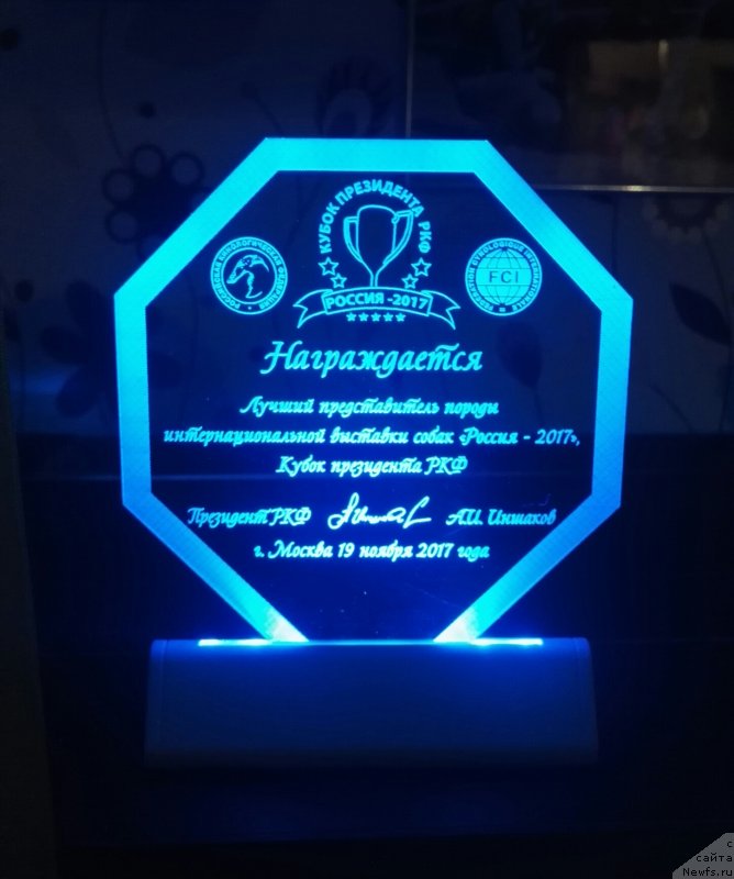 Фотография № 231719