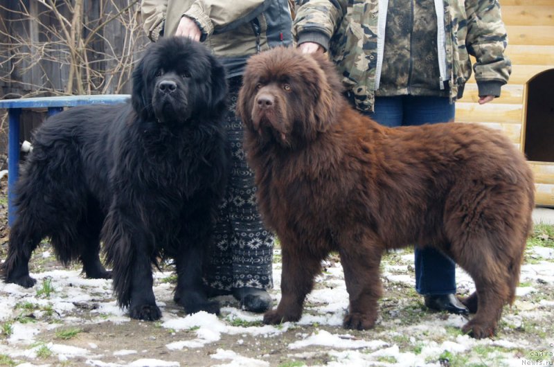 Фотография № 231726