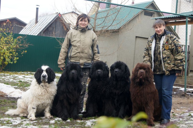 Фотография № 231730