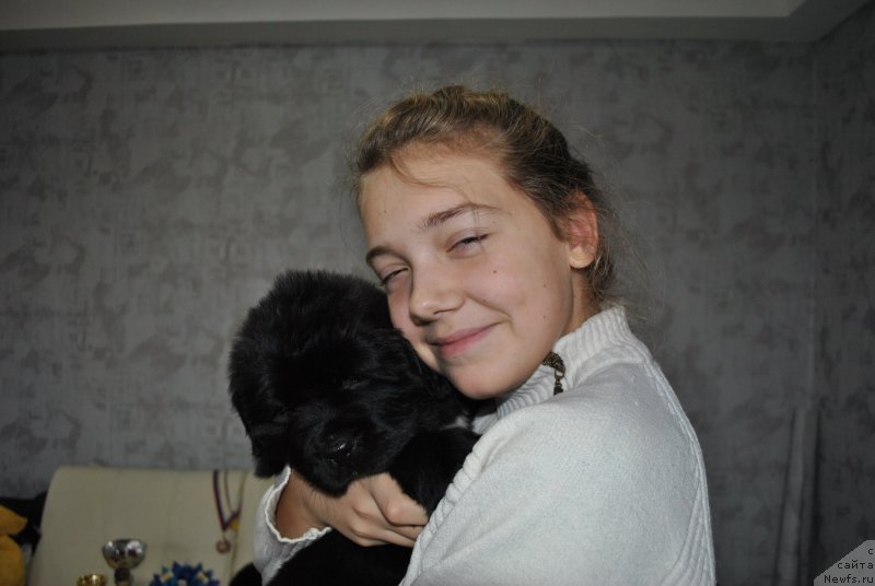 Фото: ньюфаундленд Stepnaya Pal'mira Estestvenno YA Luchshiy (Степная Пальмира Естественно Я Лучший), ньюфаундленд CHernyiy Balu Donna (Черный Балу Донна)