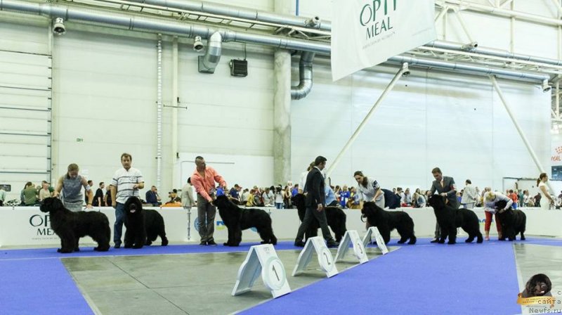 Фотография № 231785