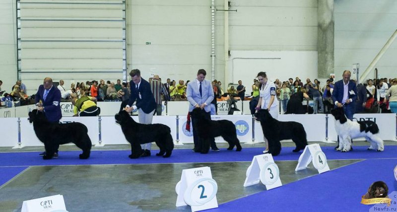 Фотография № 231786