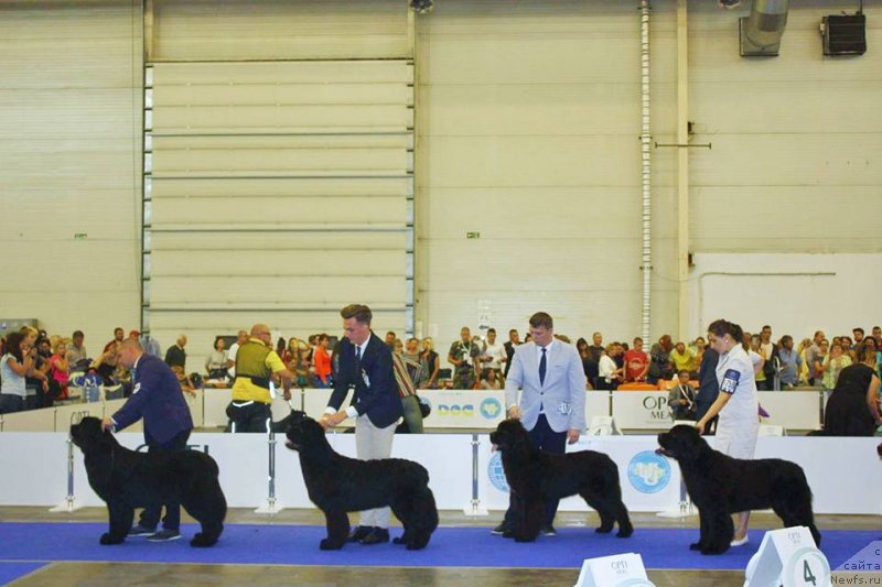 Фотография № 231787