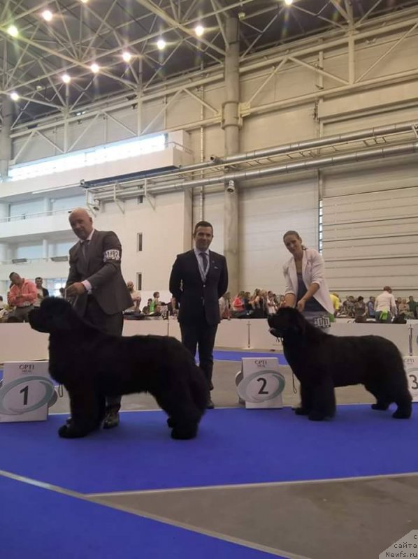 Фотография № 231790