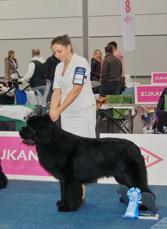 Фотография № 231794