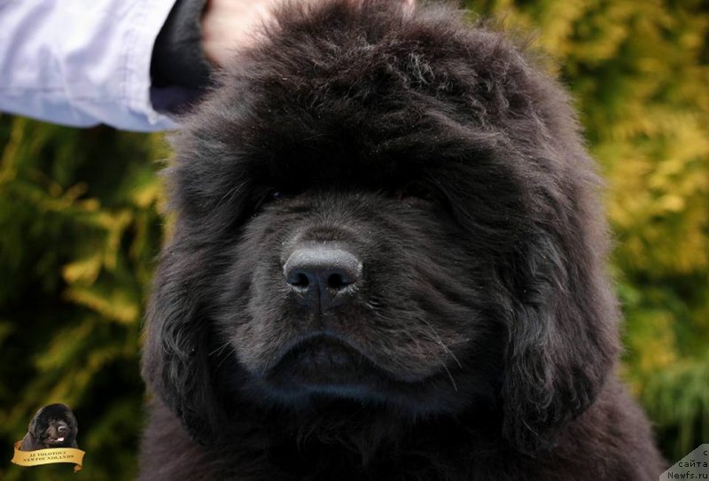 Фото: Viktor Hrischanovich (Виктор Хрищанович)