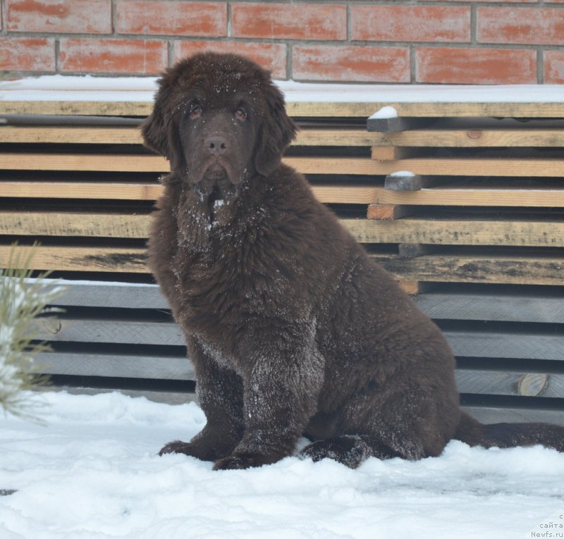 Фотография № 231811