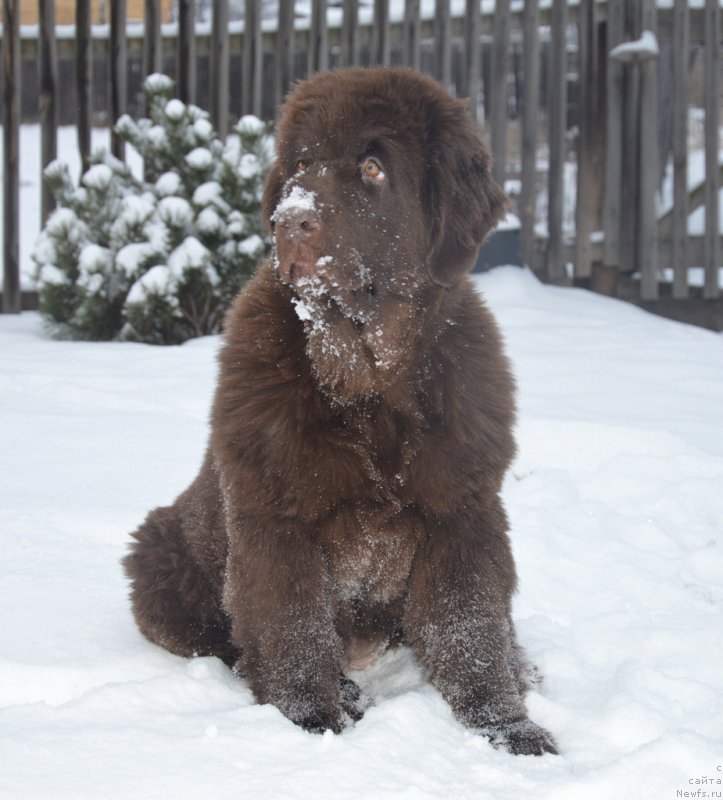 Фотография № 231812