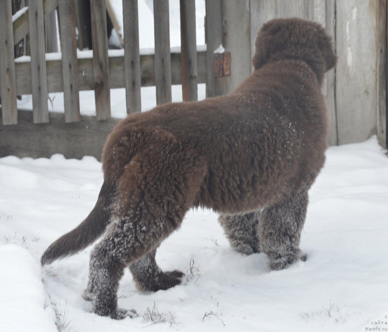 Фотография № 231815