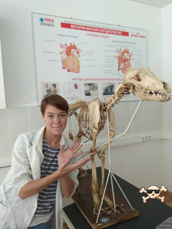 Фото: Liliya Marchenko (Лилия Марченко)