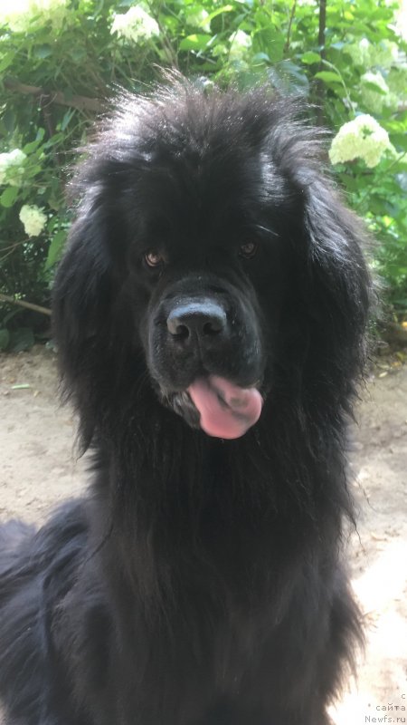 Фото: Andrey Panferov (Андрей Панферов)