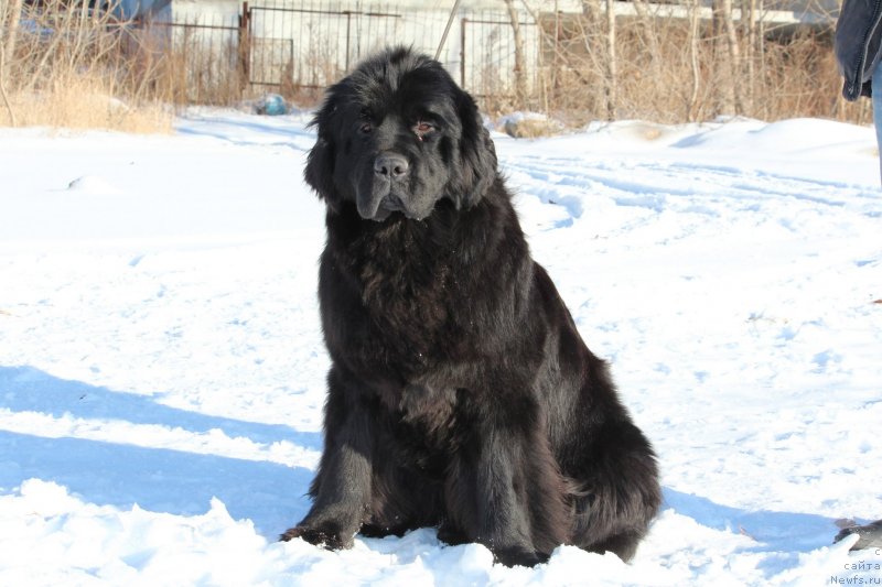 Фотография № 231868