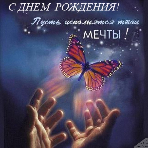 Фотография № 231906