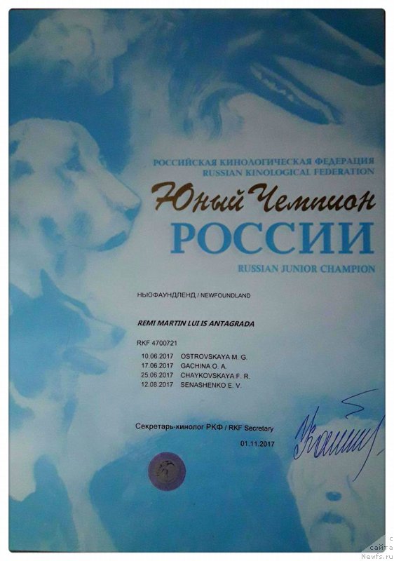 Фотография № 231911