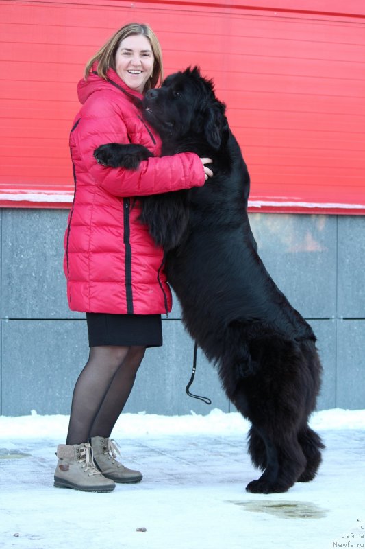 Фотография № 231912