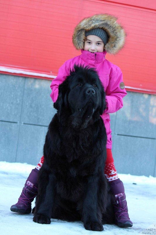 Фотография № 231926