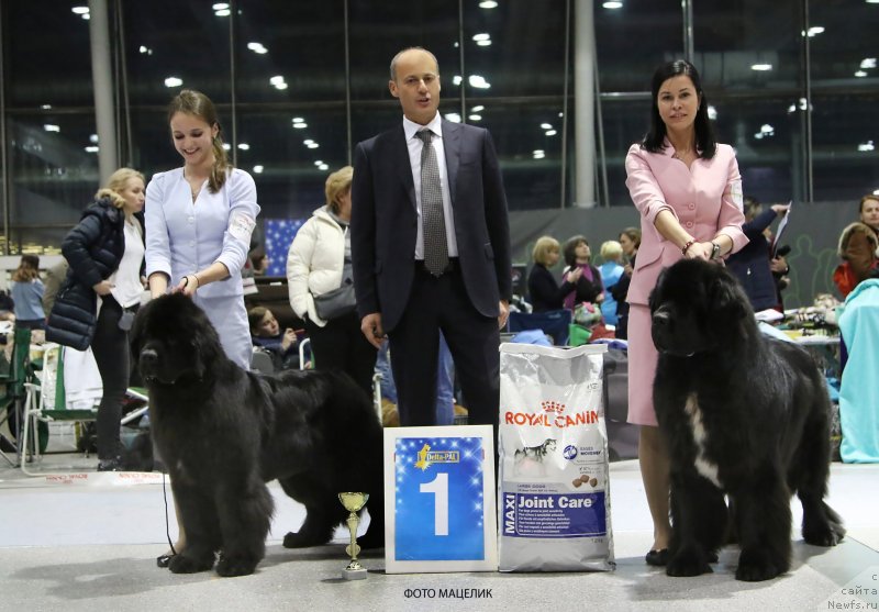 Фотография № 231933