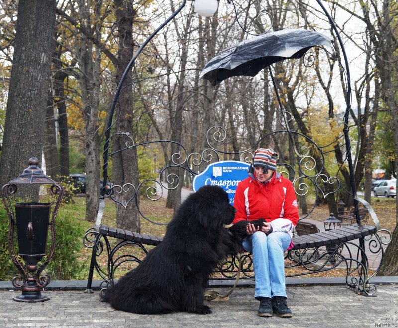 Фотография № 231993