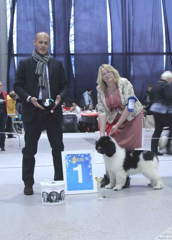 Фотография № 232005