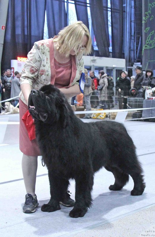 Фотография № 232014