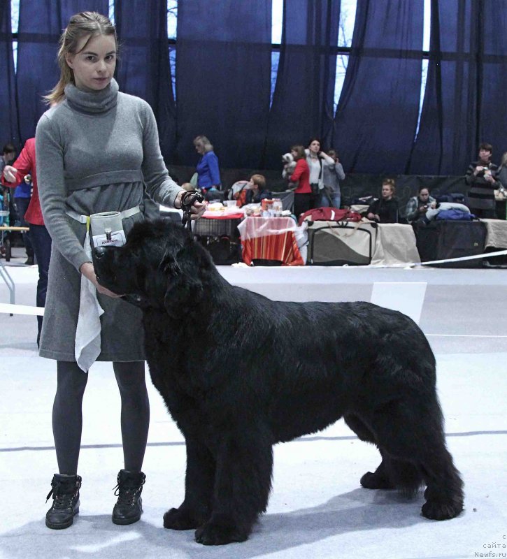 Фотография № 232017