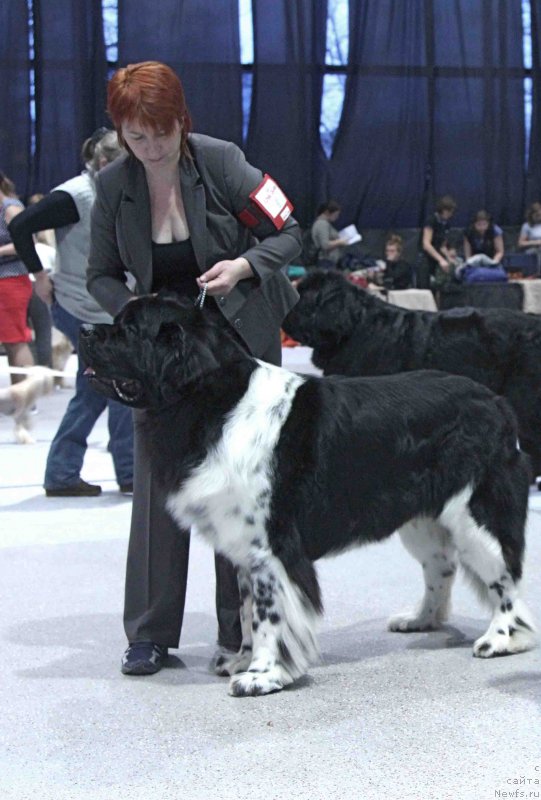 Фотография № 232021