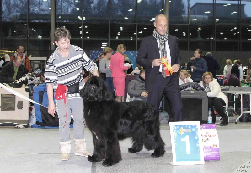 Фотография № 232025