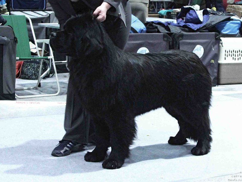 Фотография № 232029