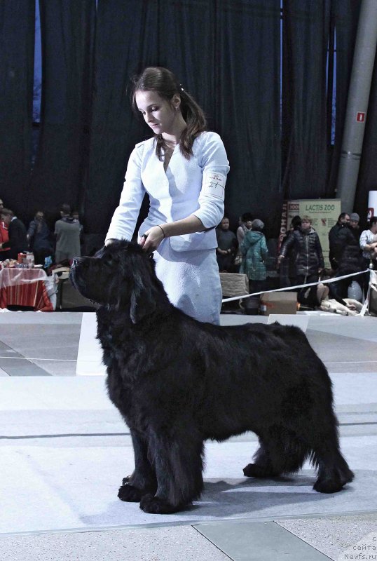 Фотография № 232030