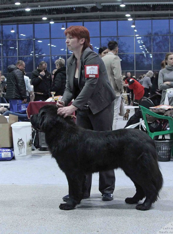 Фотография № 232031