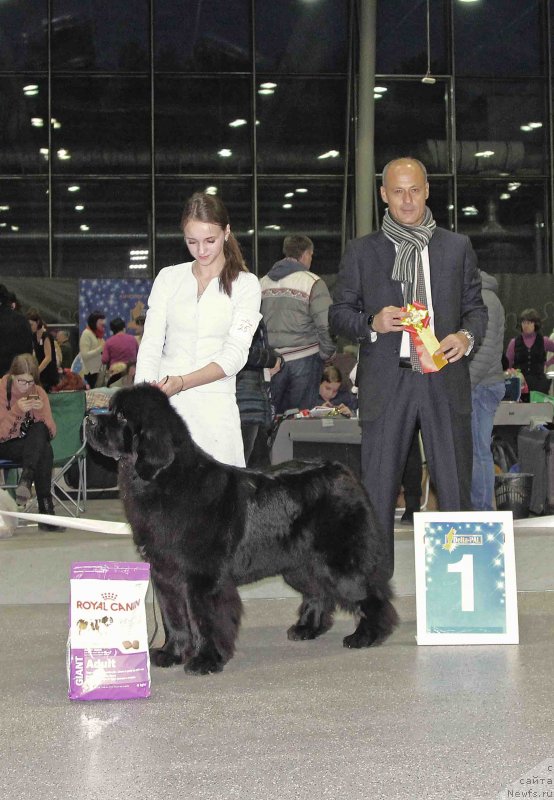 Фотография № 232033