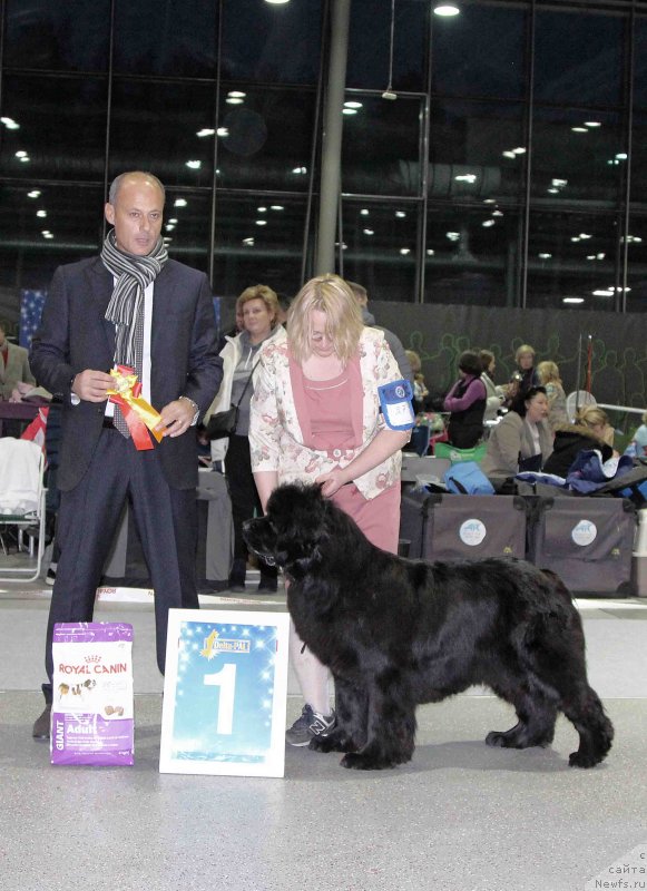 Фотография № 232035