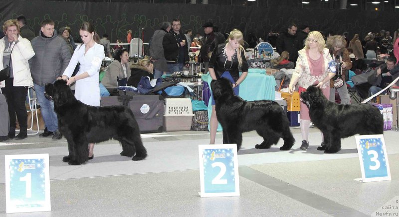 Фотография № 232039