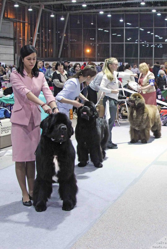 Фотография № 232040