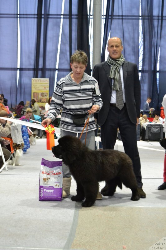 Фотография № 232043