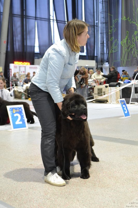 Фотография № 232047