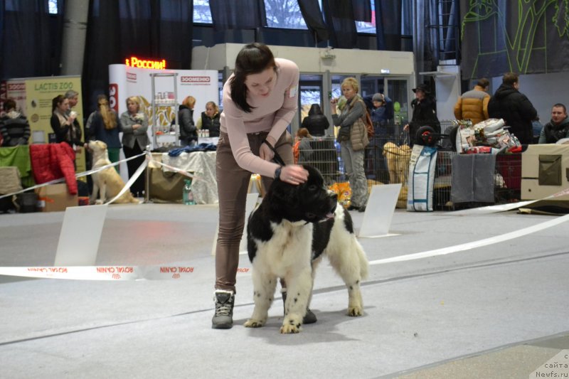 Фотография № 232052