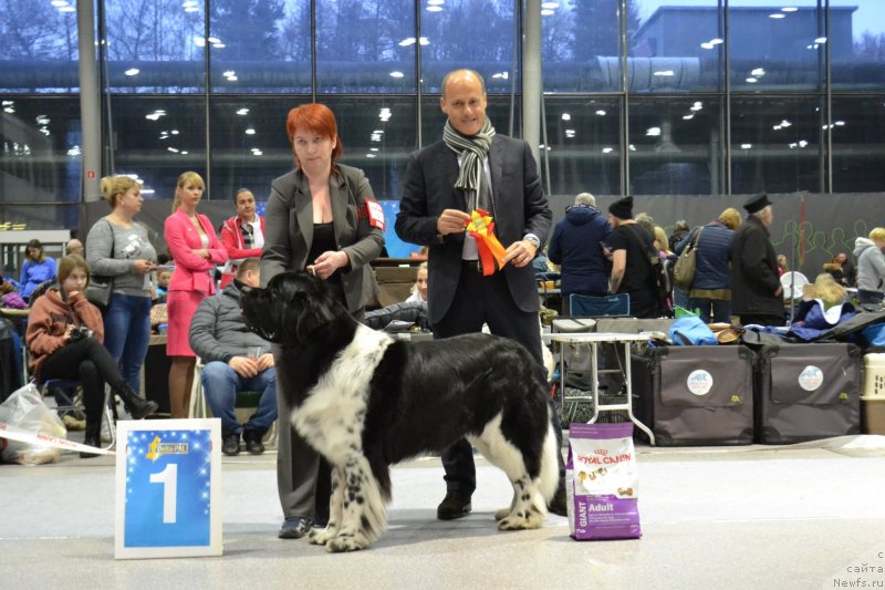 Фотография № 232063