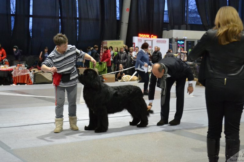 Фотография № 232064