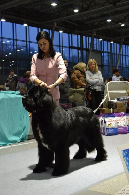 Фотография № 232068