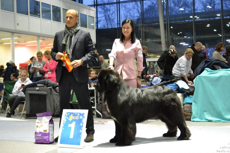 Фотография № 232069