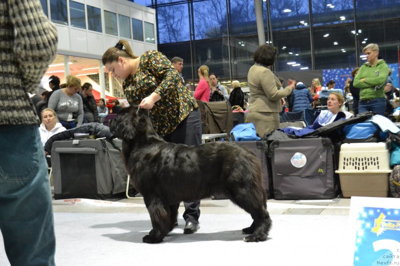 Фотография № 232071