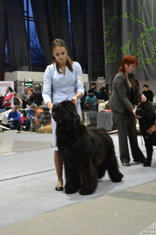 Фотография № 232073