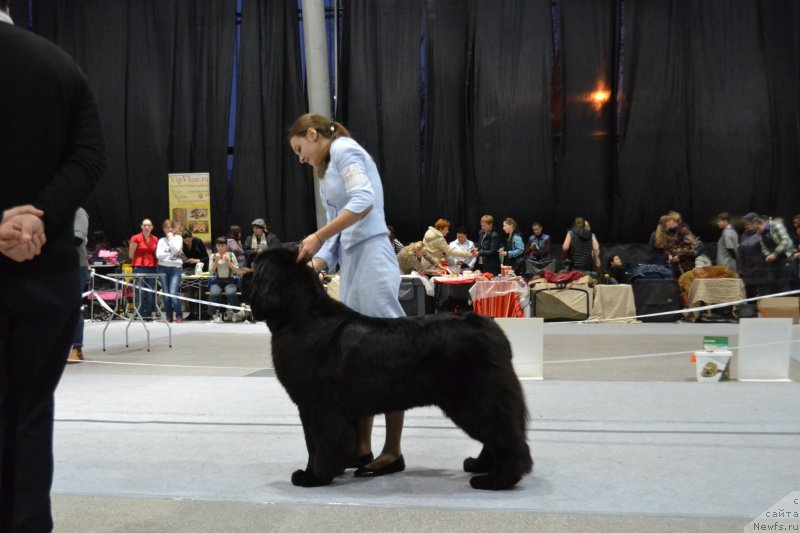 Фотография № 232077