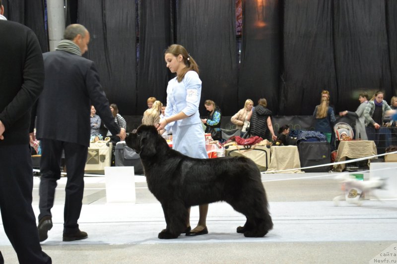 Фотография № 232078