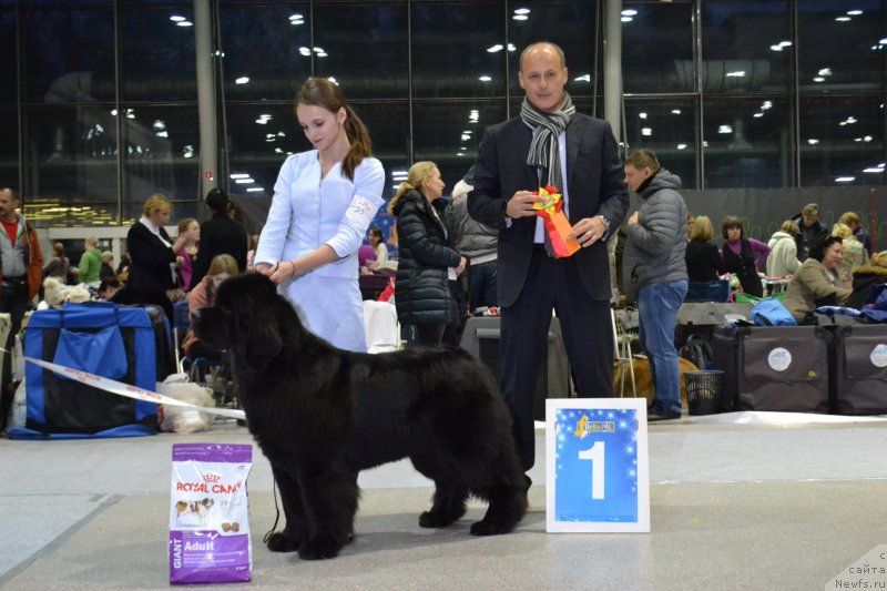 Фотография № 232079